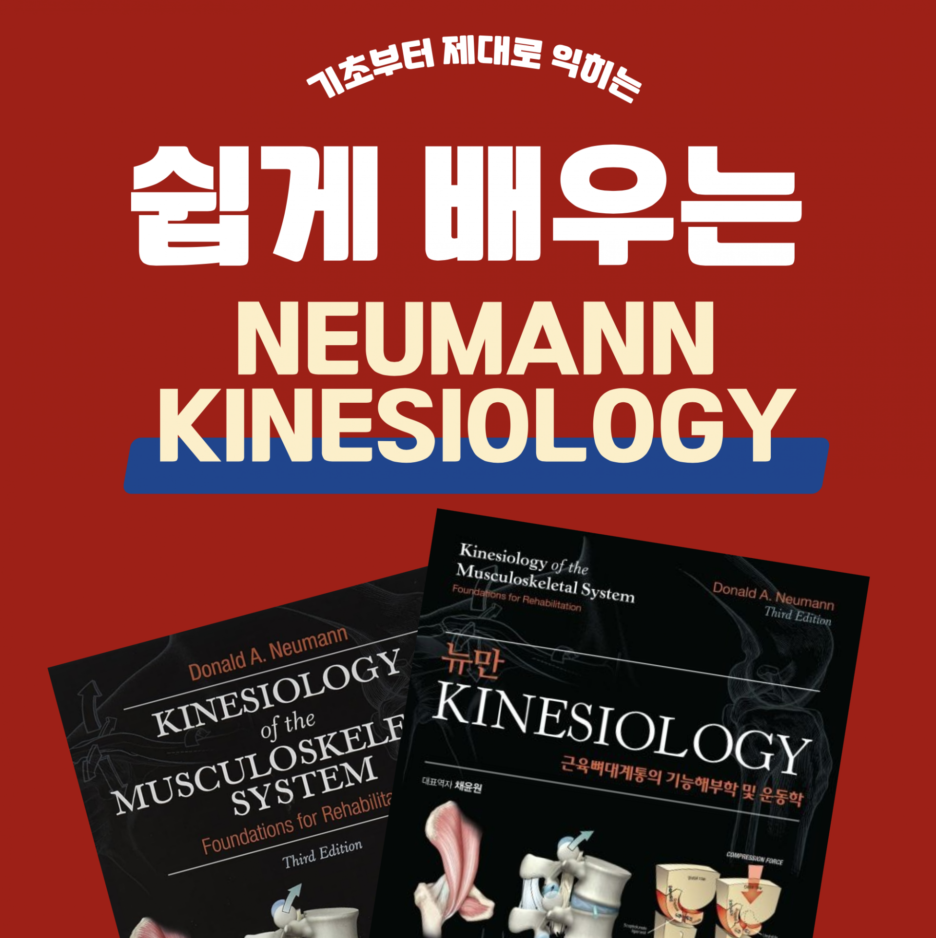 2차 쉽게 배우는 뉴만 키네지올로지 스터디 포스터